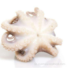 Hochwertiger kleiner Oktopus zu verkaufen